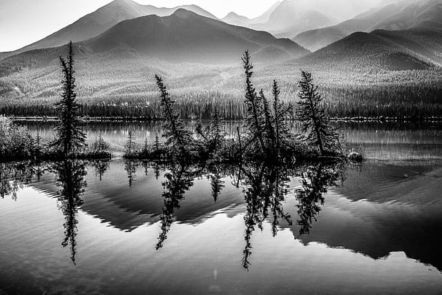 Free Black-And-White Lake photo and picture