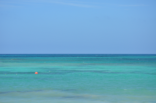 Free Water Sea photo and picture