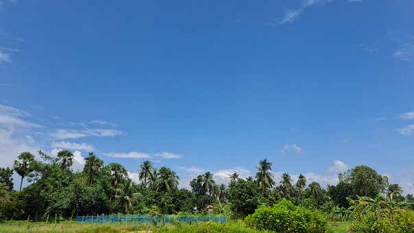 Free Landscape Nature photo and picture