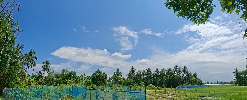 Free Landscape Nature photo and picture