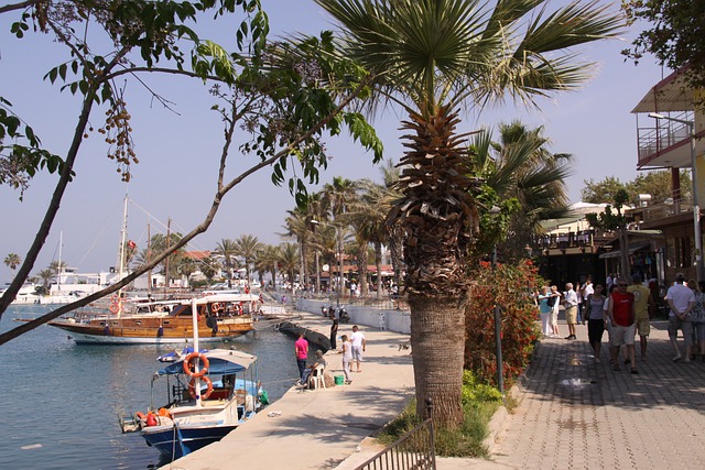 Passeio, Palmeira, Barcos, Turistas