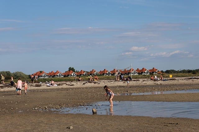 Free Coast Beach photo and picture