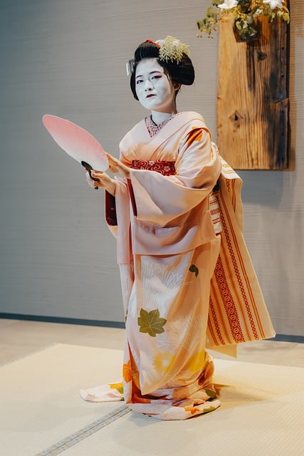 Free Maiko Japan photo and picture