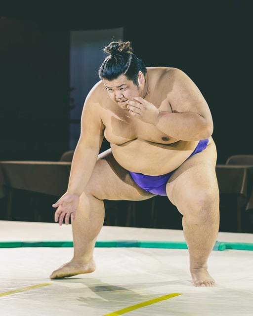 Free Sumo Japanese photo and picture