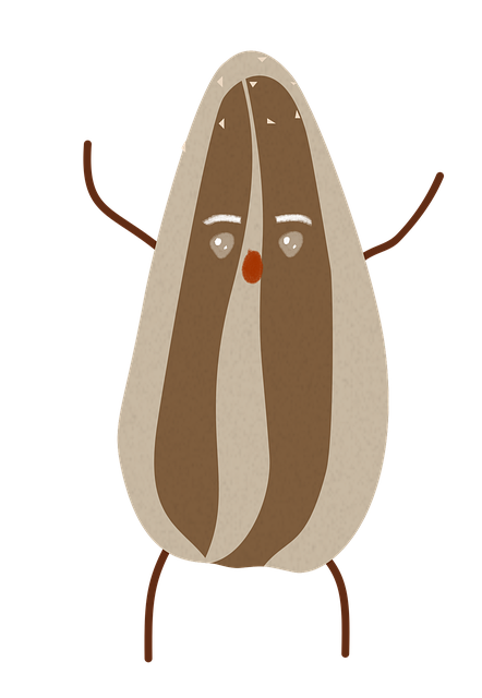 Free sunflower seed cartoon character brown vector