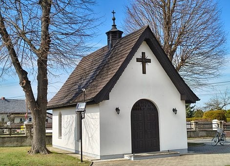 Free Chapel Trees photo and picture