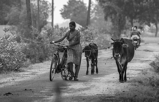 Free Village Woman photo and picture