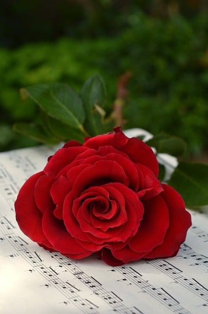 Free Rose Sheet Music photo and picture