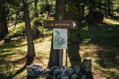 Wanderschild, Wald, Weg, Sommer, Wandern