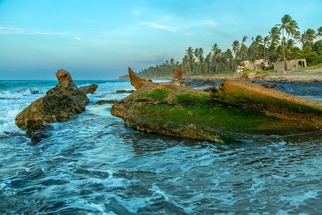 Free Coast Nature photo and picture