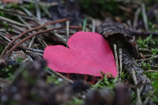 Free Heart Nature photo and picture