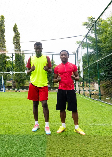 Free Soccer Pitch photo and picture