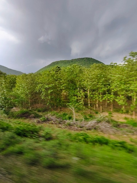 Free Nature Landscape photo and picture