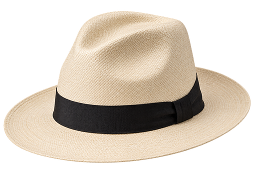 Free Hat Straw Hat photo and picture