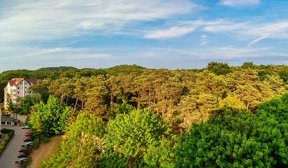 Wald, Baum, Himmel, Kiefer, Gebäude