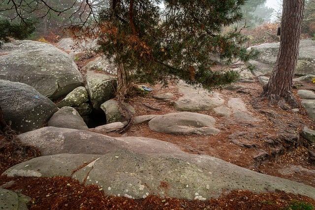 Free Fontainebleau Rock photo and picture