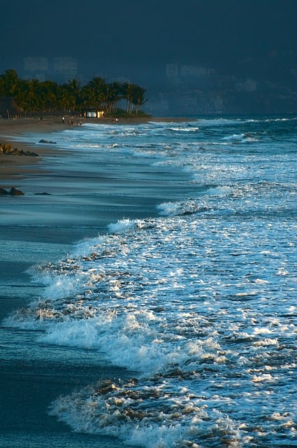Free Beach Wave photo and picture