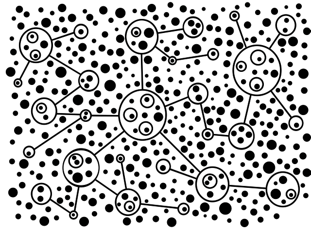 Free network connectivity data vector