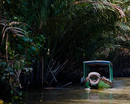 Free Vietnam Jungle photo and picture