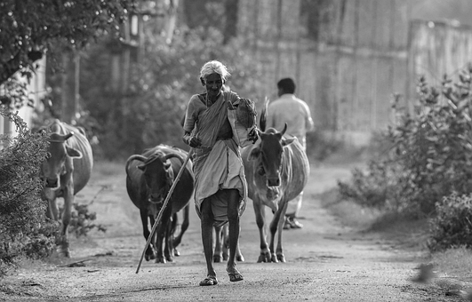 Free Rural Black And White photo and picture