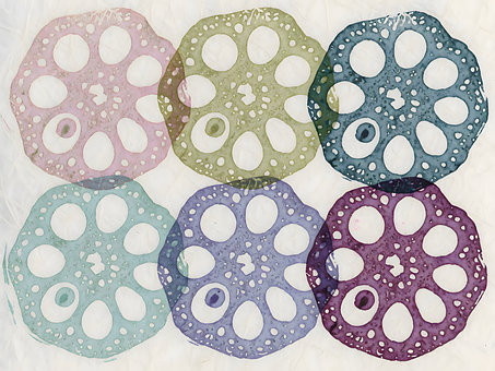 Free Lotus Slice illustration and picture