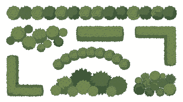 Tufișuri, Ilustrație, Design De Grădină