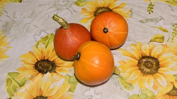 Free Pumpkin Hokkaido photo and picture