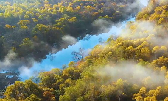 Free Autumn Forest River photo and picture