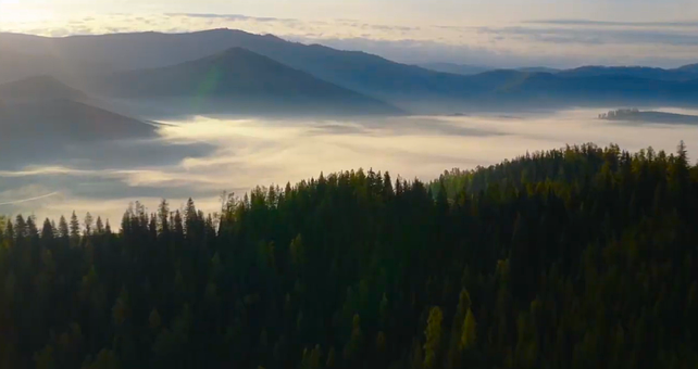 Free Mountains Forest photo and picture