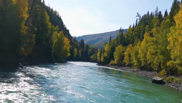Free River Forest photo and picture