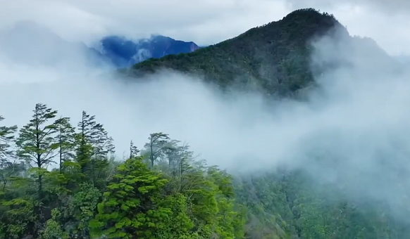 Free Cloud Inversion Forest photo and picture