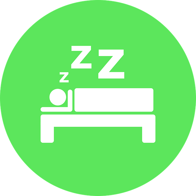 Free icon sleep bed vector