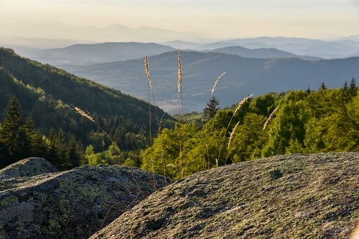 Paisagem, Montanhas, Floresta, Rochas