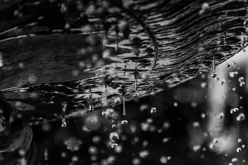 Gotas, Água, Textura, Preto E Branco
