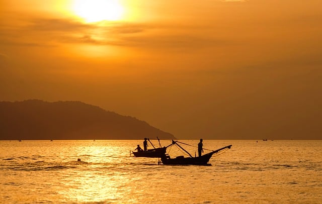 Free Sunrise Morning photo and picture