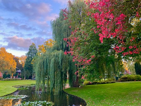 Free Park Autumn photo and picture