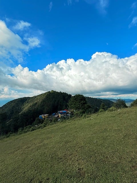 Free Hills Forest photo and picture