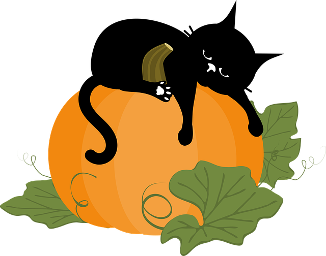 Free black cat pumpkin halloween vector