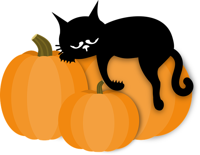 Download free HD stock image of Cat Pumpkin Free cat pumpkin sleep illustration