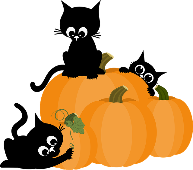 Free cat pumpkin kittens vector