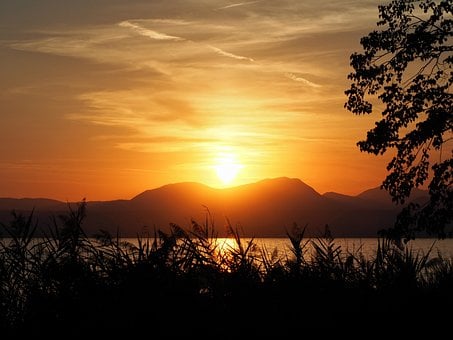 일몰, 호수, 실루엣, 산, 수평선, 물, 낭만적, 나무, 보라색, 갈대