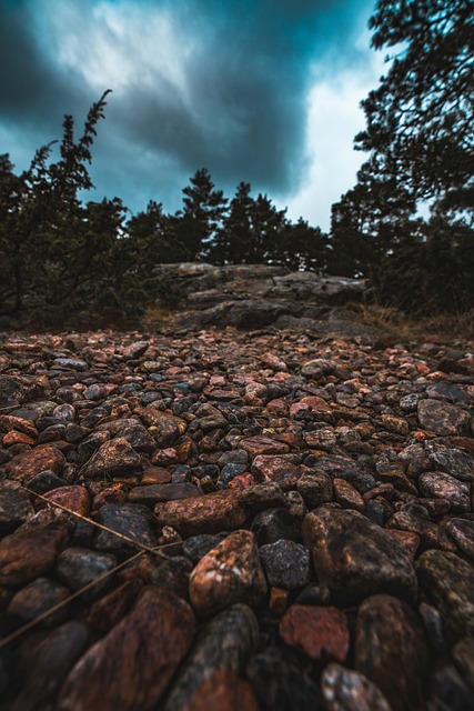 Free Nature Rocky Beach photo and picture