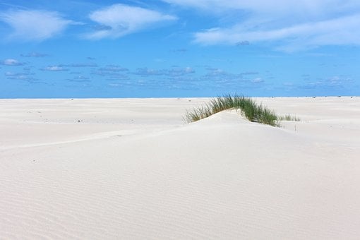 Free Beach Sand photo and picture