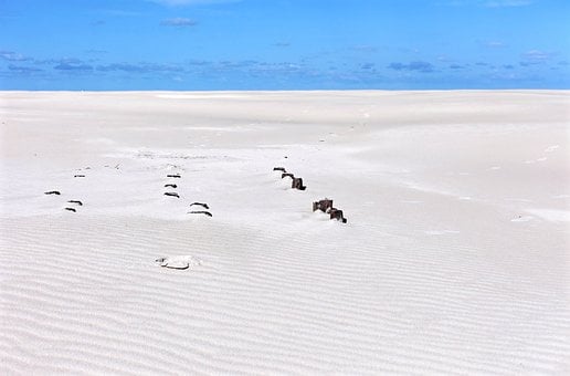 Free Beach Sand photo and picture