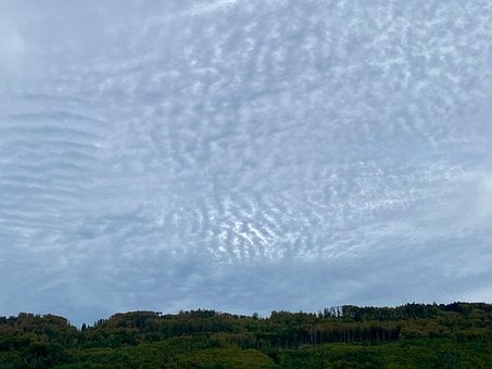 Natur, Wolken, Himmel, Wald, Horizont