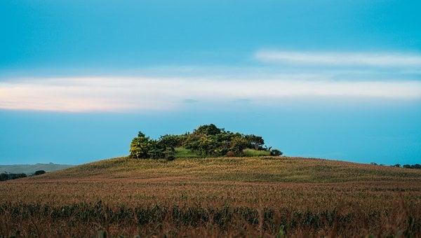Landschaft, Natur, Grünbündel