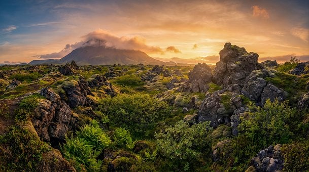 Lava, Isländische Landschaft, Moos