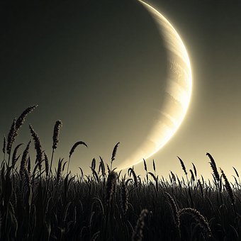 Mond, Natur, Abend, Getreide, Feld
