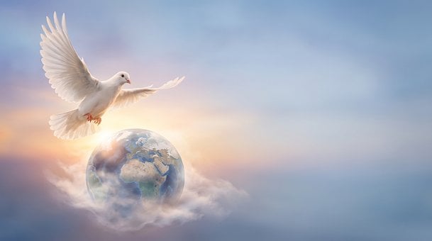 Free Dove Earth illustration and picture
