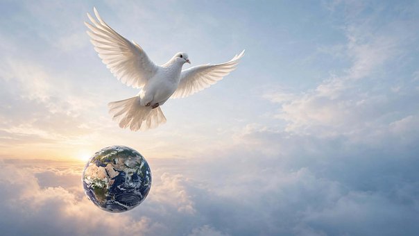 Free Peace Dove illustration and picture